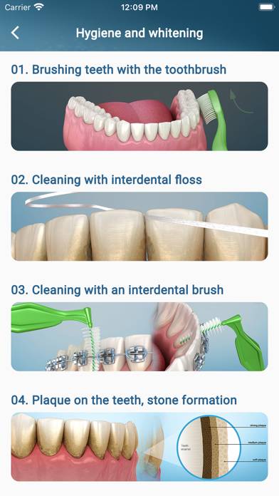 Dental 3D Illustrations App screenshot #2