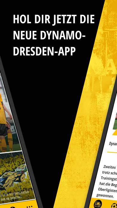 SG Dynamo Dresden screenshot #2