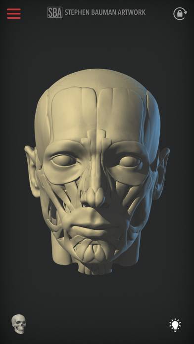 Head Study App screenshot #2