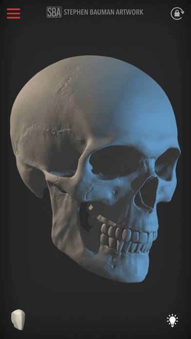 Head Study App screenshot #3