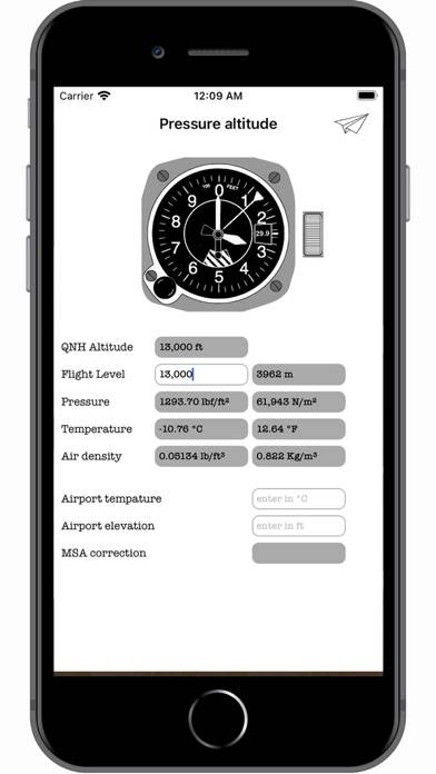 Flight parameters capture d'écran