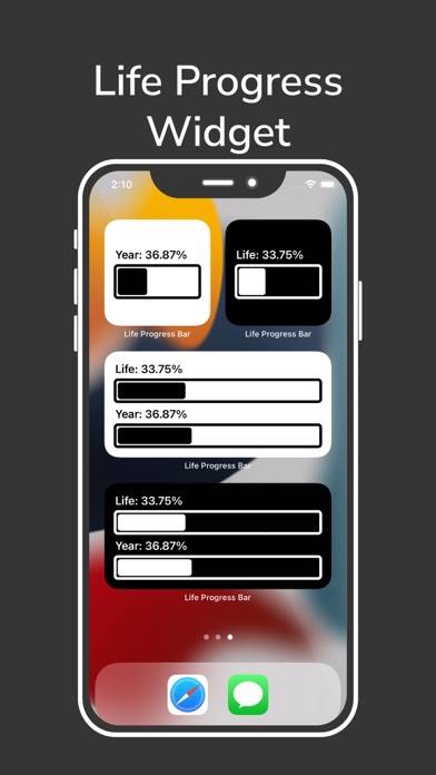 Life Progress Bar for Widgets App-Screenshot #5