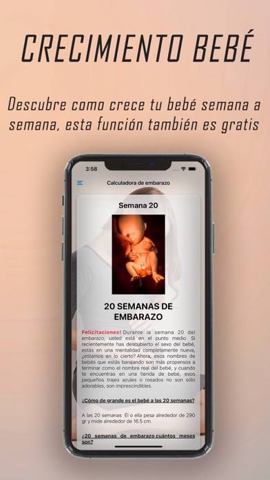 App Ecobebé Captura de pantalla de la aplicación