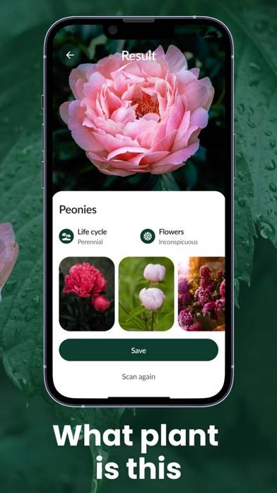 Plant Identification App screenshot #2