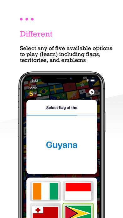 Globe Flags and Countries Capture d'écran de l'application #3