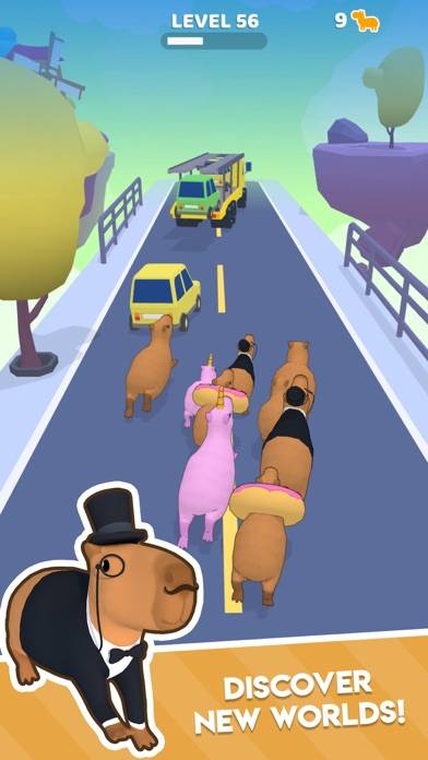 Capybara Rush Captura de pantalla de la aplicación #4