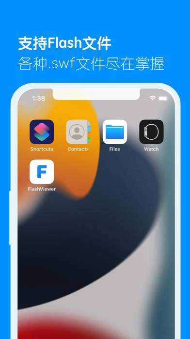 FlashViewer Capture d'écran de l'application #1