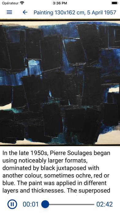 Musée Soulages Rodez Capture d'écran de l'application #6