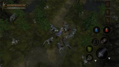 Baldur's Gate - Dark Alliance ekran görüntüsü