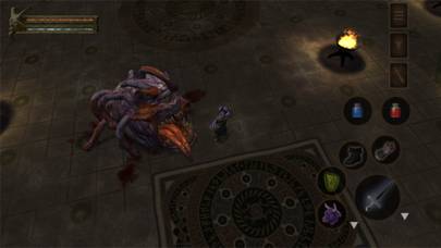 Baldur's Gate App-Screenshot #3