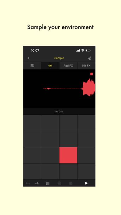 Ableton Note App skärmdump #3