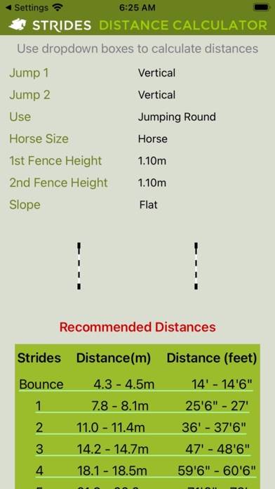 Strides Distance Calculator App skärmdump