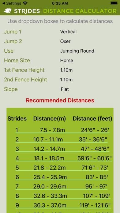 Strides Distance Calculator App skärmdump