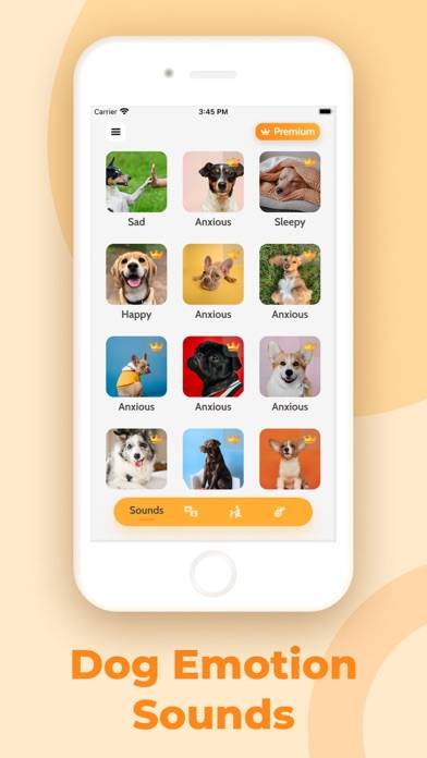 Dog Translator, Games for Dogs Captura de pantalla de la aplicación #3