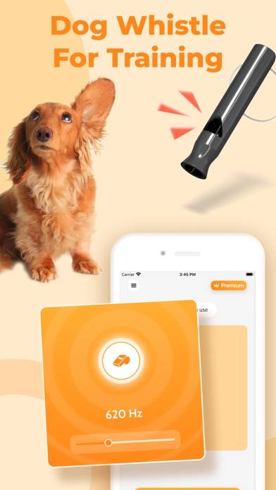 Dog Translator, Games for Dogs App screenshot #4