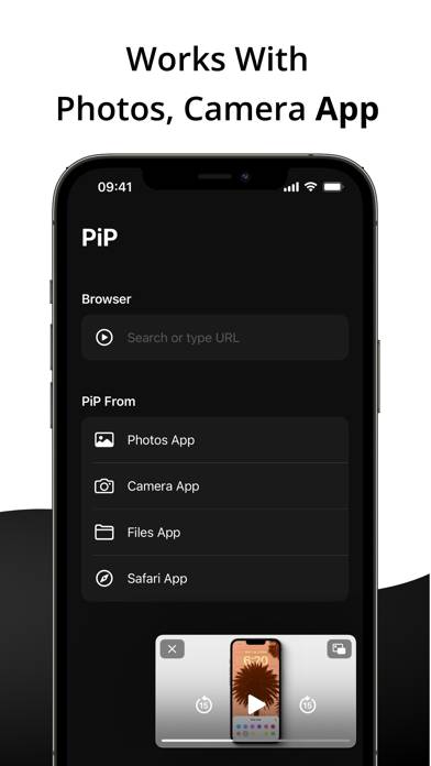 PiP Captura de pantalla de la aplicación #4