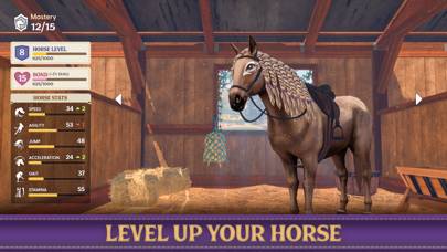 Star Equestrian App-Screenshot #5
