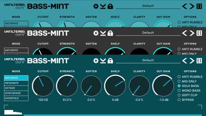Bass Mint App-Screenshot #2