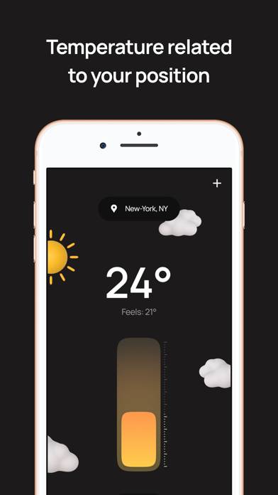 Thermos real thermometer Capture d'écran de l'application #2
