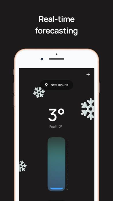 Thermos real thermometer Capture d'écran de l'application #5