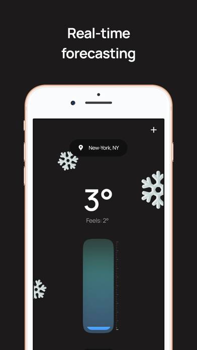 Thermos real thermometer App screenshot