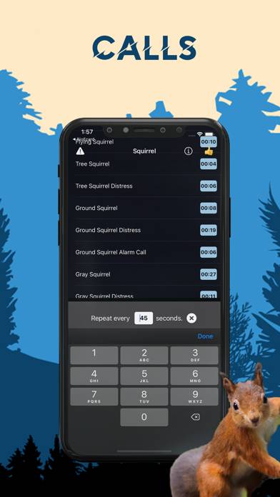 Squirrel Magnet Squirrel Calls App screenshot #3