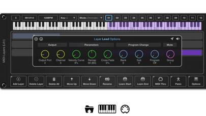 MIDI Layers Captura de pantalla de la aplicación #1