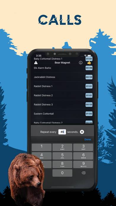 Bear Magnet App screenshot