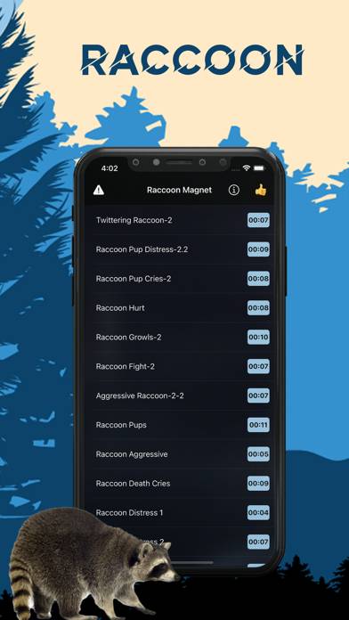 Raccoon Magnet–Raccoon Sounds App screenshot #1