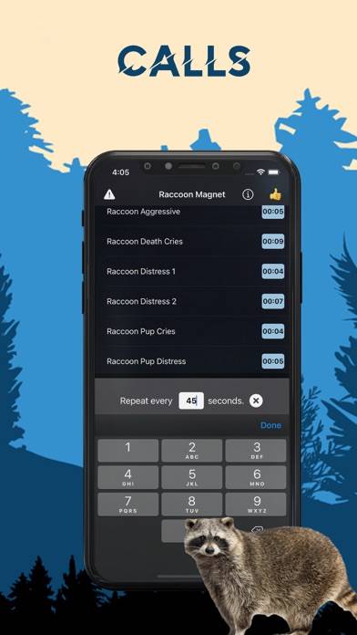 Raccoon Magnet–Raccoon Sounds App screenshot