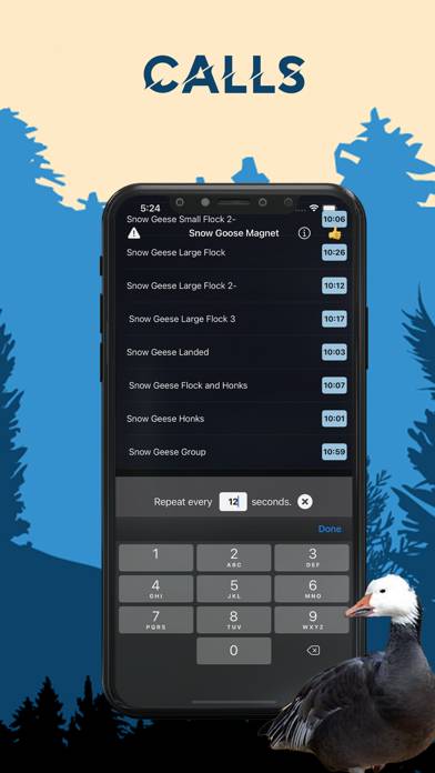 Snow Goose Magnet- Goose Calls App screenshot #3
