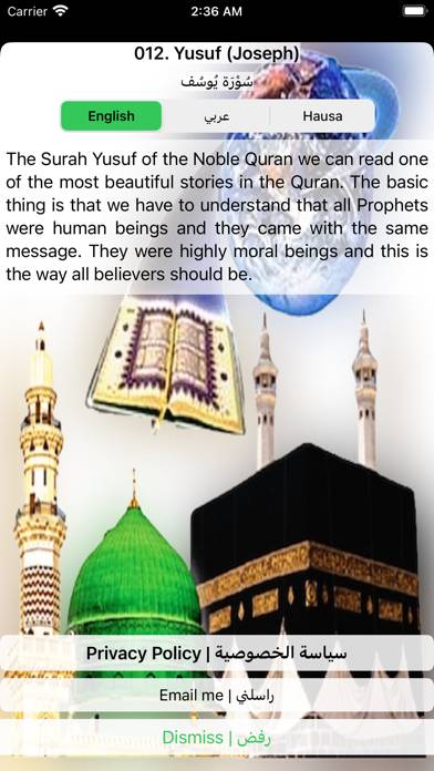 Offline Quran | Mukhtar alHajj Capture d'écran de l'application #4