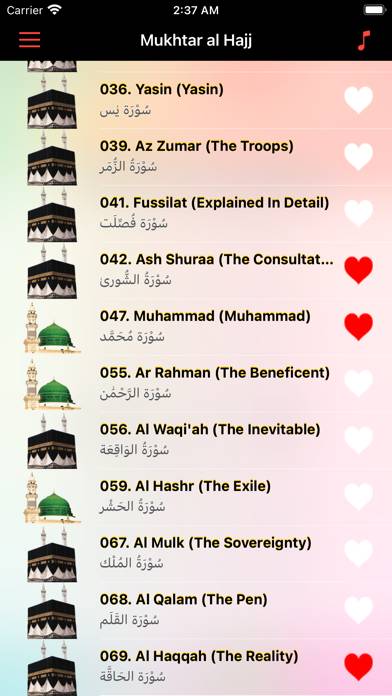 Offline Quran | Mukhtar alHajj Capture d'écran de l'application #6