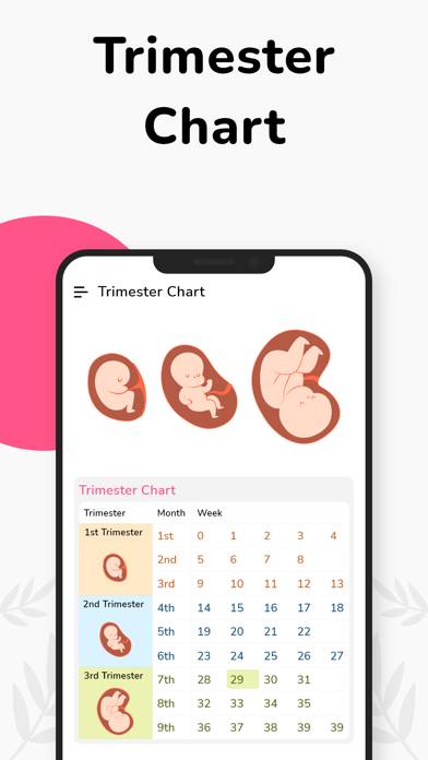Pregnancy Tracker Week by Week App screenshot #2