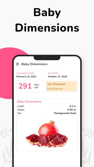 Pregnancy Tracker Week by Week App screenshot #3