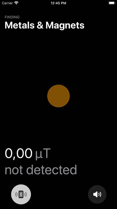 Magnetometer Bildschirmfoto