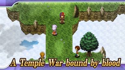 RPG Knights of Grayfang captura de pantalla