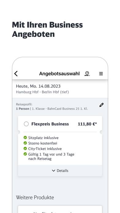 Business DB Navigator App-Screenshot