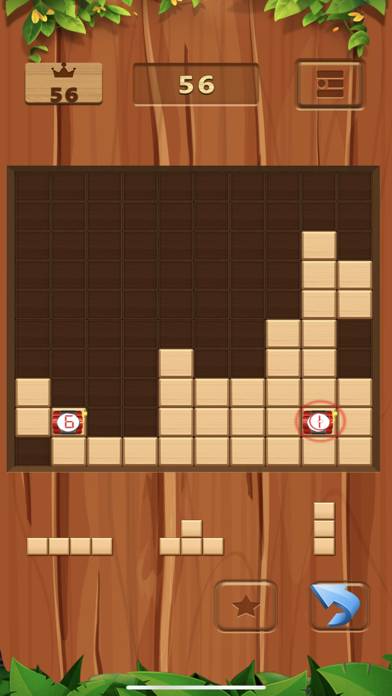 Wooden Block Puzzle Premium Uygulama ekran görüntüsü #2