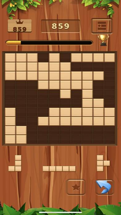 Wooden Block Puzzle Premium Uygulama ekran görüntüsü #3