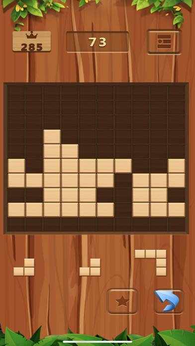 Wooden Block Puzzle Premium Uygulama ekran görüntüsü #4