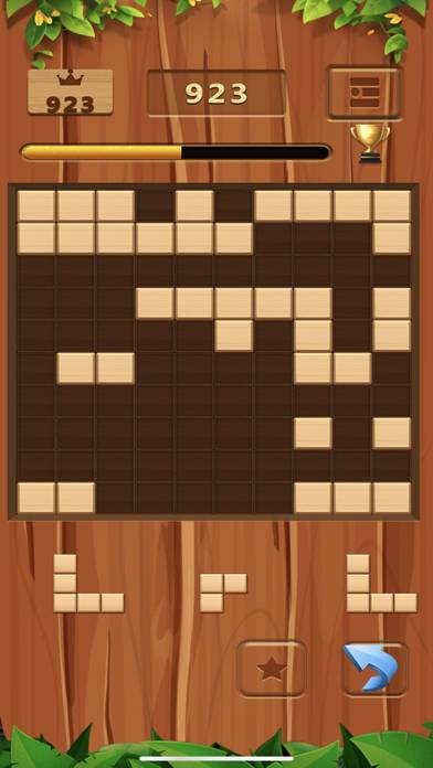 Wooden Block Puzzle Premium Uygulama ekran görüntüsü #5