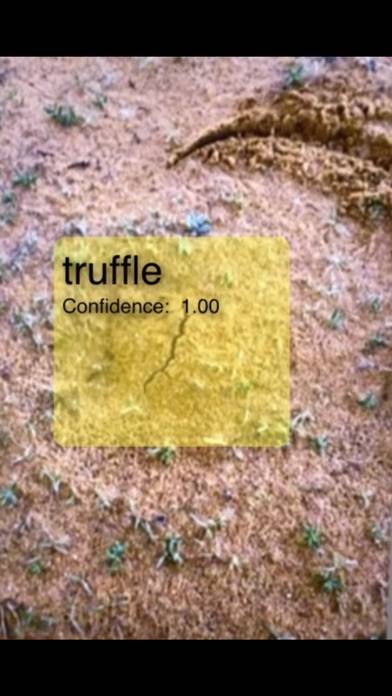 فقع Truffle