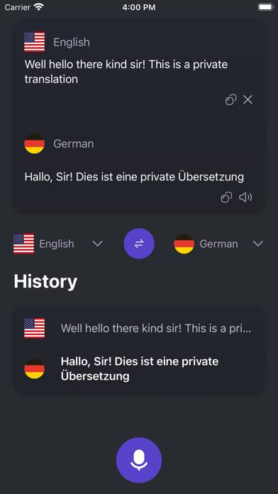 Translator Private App screenshot