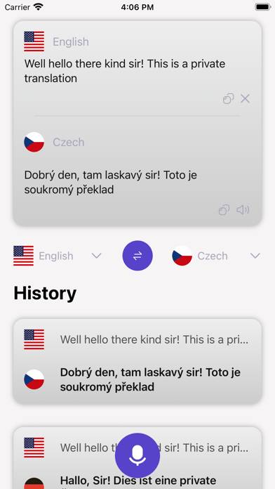 Translator Private screenshot