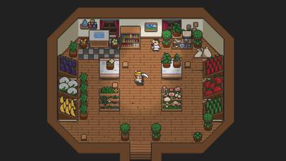 Arcane Vale game screenshot