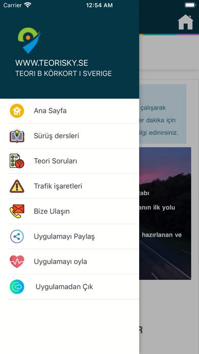 Teori B körkort - Turkiska screenshot