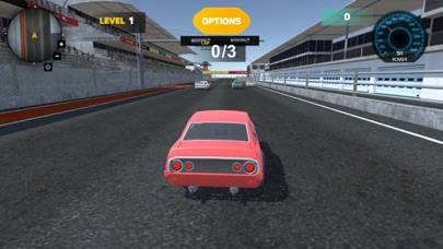 Adrenaline Rush Racing App skärmdump #3