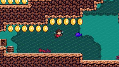 Cave Ranger captura de pantalla del juego