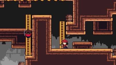 Cave Ranger captura de pantalla del juego